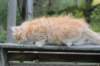 vidald242months119202314_small.jpg