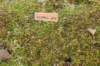 vidald242months11920231_small.jpg