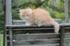 vidald242months119202321_small.jpg
