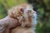 vidald242months119202338_small.jpg