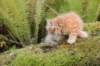 vidald242months11920234_small.jpg