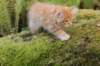 vidald242months11920236_small.jpg