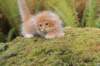 vidald242months11920237_small.jpg