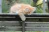 vidald242months11920239_small.jpg
