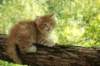 vidal65weeks298202311_small.jpg