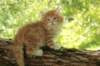 vidal65weeks29820239_small.jpg