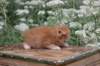 vidalvt244weeks118202313_small.jpg