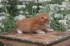 vidalvt244weeks118202314_small.jpg
