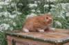 vidalvt244weeks118202315_small.jpg