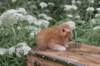 vidalvt244weeks118202318_small.jpg