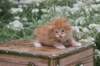 vidalvt244weeks11820233_small.jpg
