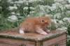 vidalvt244weeks11820235_small.jpg