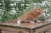 vidalvt244weeks11820236_small.jpg