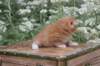 vidalvt244weeks11820237_small.jpg