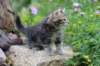 vania85viikkoa30626_small.jpg