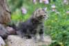 vania85viikkoa30627_small.jpg