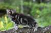 vaniaboy65weeks15624_small.jpg