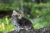 vaniaboy65weeks15629_small.jpg