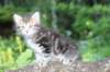 vaniaboy65weeks15631_small.jpg