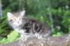 vaniaboy65weeks15634_small.jpg