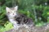 vaniaboy65weeks15635_small.jpg