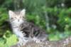 vaniaboy65weeks15636_small.jpg