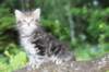 vaniaboy65weeks15637_small.jpg