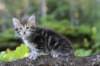 vaniaboy65weeks15639_small.jpg