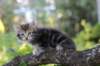 vaniaboy65weeks15647_small.jpg
