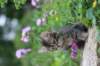 venamin85viikkoa30620_small.jpg