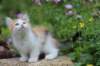 vida85viikkoa3063_small.jpg