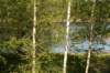 ikkunankymviewfromwindow_small.jpg