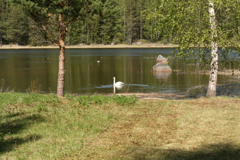 jumalatekiminullehauskanylltyksenjatoijoutsenenrantaammegodsurprisedmeandbroughttheswantoourshore.jpg