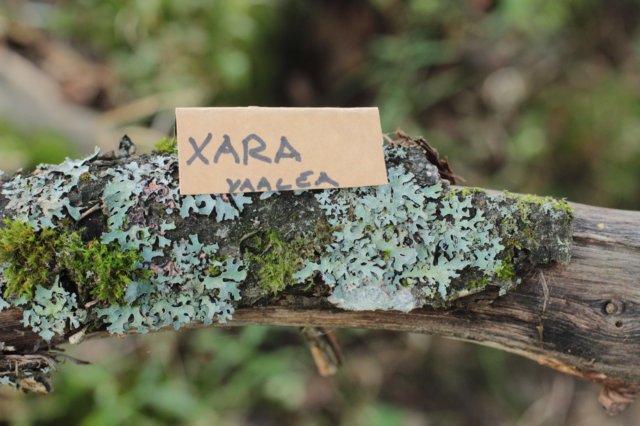 xara55weeks29820231.jpg