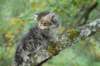 xara55weeks298202316_small.jpg