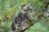 xara55weeks298202317_small.jpg