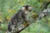 xara55weeks298202320_small.jpg