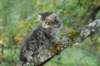 xara55weeks298202321_small.jpg