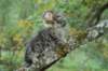 xara55weeks298202323_small.jpg