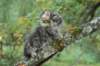 xara55weeks298202324_small.jpg