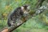 xara55weeks298202325_small.jpg