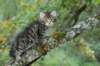 xara55weeks298202327_small.jpg