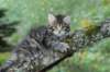 xara55weeks29820232_small.jpg