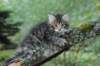 xara55weeks29820234_small.jpg