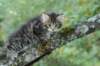 xara55weeks29820236_small.jpg