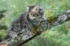 xara55weeks29820237_small.jpg