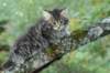 xara55weeks29820238_small.jpg