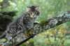 xara55weeks29820239_small.jpg