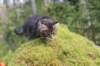 xara75weeks119202310_small.jpg