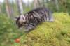 xara75weeks119202311_small.jpg